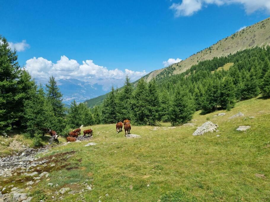 T2 + Coin Montagne - Wifi/Piscine - Les Orres 1800 Lägenhet Exteriör bild